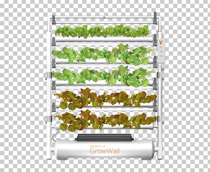 Hydroponics The International Consumer Electronics Show Farm Product Grow Box PNG, Clipart, Farm, Greenhouse, Grow Box, Hydroponics, Italy Free PNG Download