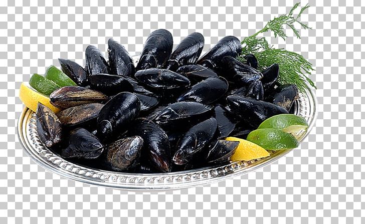 Mussel Oyster Crayfish As Food Clam PNG, Clipart, Animal Source Foods, Clams Oysters Mussels And Scallops, Dish, Eating, Fat Free PNG Download
