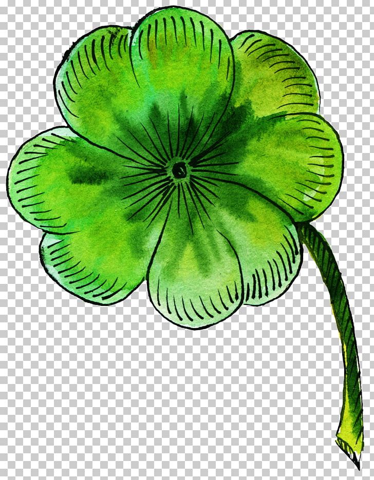 Petal Four-leaf Clover Four-leaf Clover PNG, Clipart, 4 Leaf Clover, Clover, Clover Border, Clover Leaf, Clovers Free PNG Download