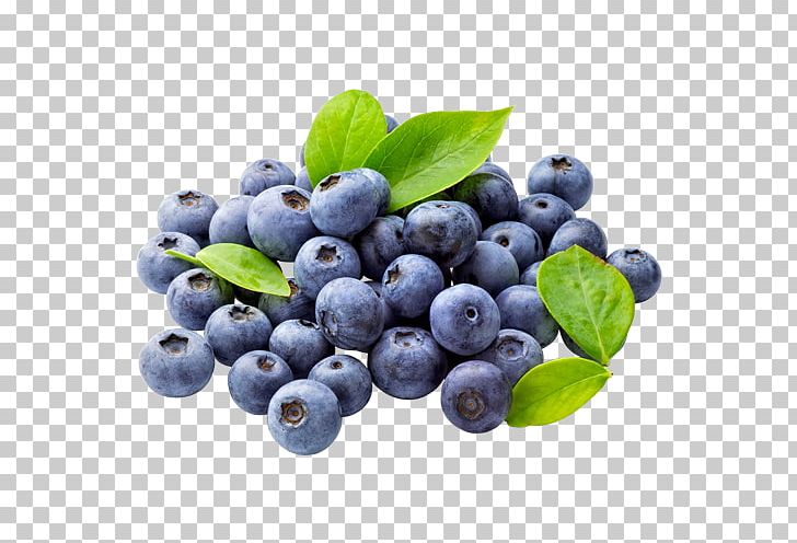 Blueberry Tea Muffin PNG, Clipart, Antioxidant, Aristotelia Chilensis, Berry, Bilberry, Blue Free PNG Download