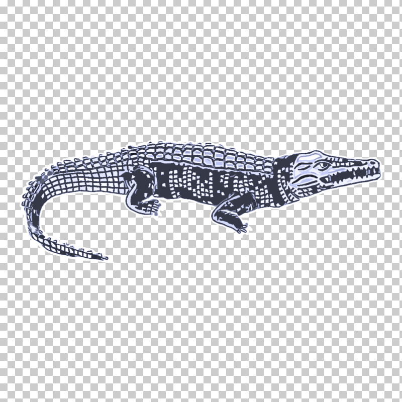 Crocodiles Jewellery Alligators Silver PNG, Clipart, Alligators, Crocodiles, Jewellery, Silver Free PNG Download