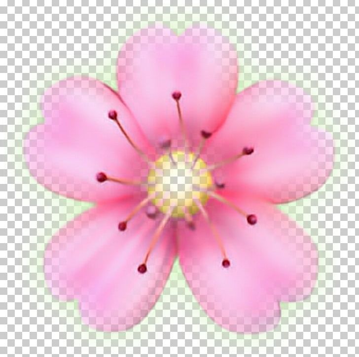 Flower Emoji Sticker Petal PicsArt Photo Studio PNG, Clipart, Blossom, Cherry Blossom, Computer Icons, Emoji, Emoticon Free PNG Download