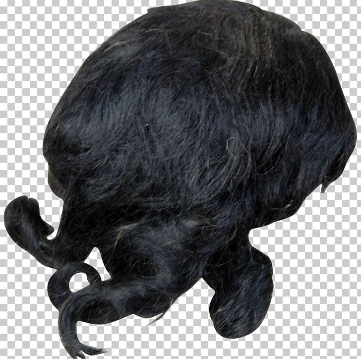 Snout Fur PNG, Clipart, African American Women, Figurine, Fur, Lace, Others Free PNG Download