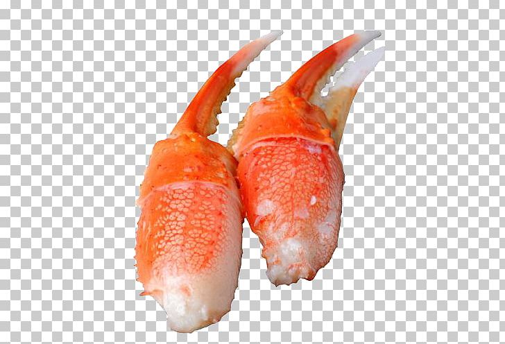 Snow Crab Claw PNG, Clipart, Alaskan, Animal Source Foods, Claw, Crab, Crab Claw Free PNG Download