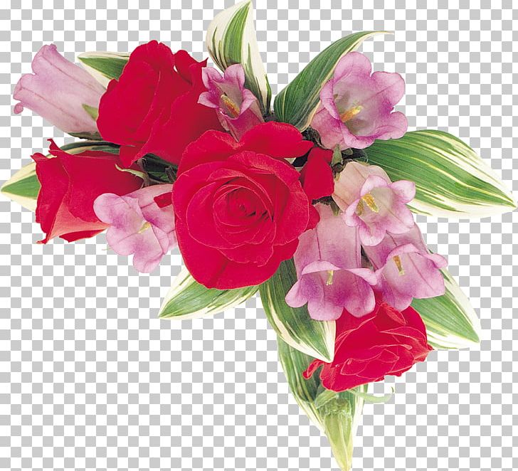 Cut Flowers Garden Roses Floral Design PNG, Clipart, Annual Plant, Beach Rose, Bell, Bellflowers, Cut Flowers Free PNG Download