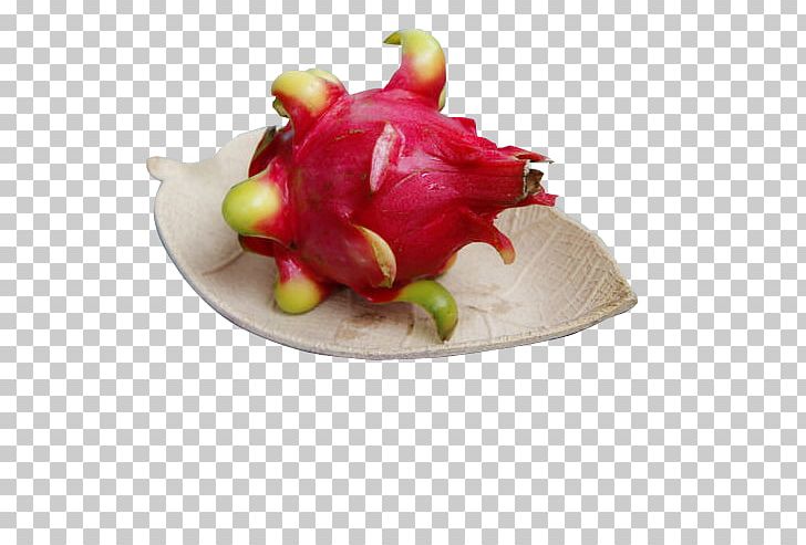 Pitaya Food Fruit PNG, Clipart, Apple Fruit, Delicious, Dragon, Fantasy, Food Free PNG Download