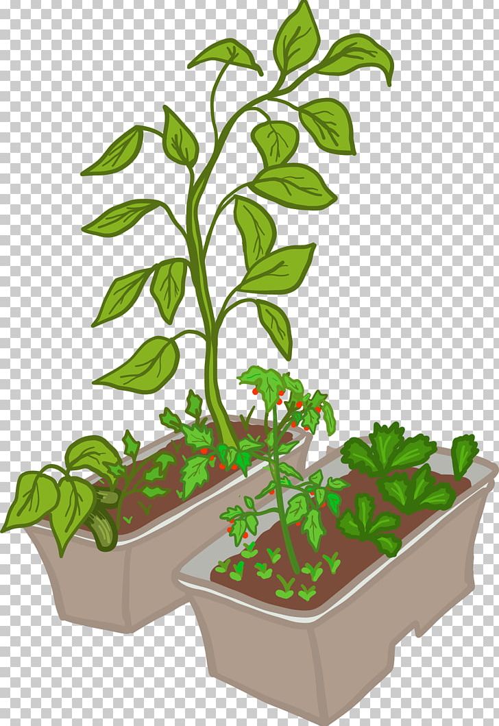 Teacher Houseplant Leaf Student Learning PNG, Clipart, Flowering Plant, Flowerpot, Food, Garden, Grass Free PNG Download
