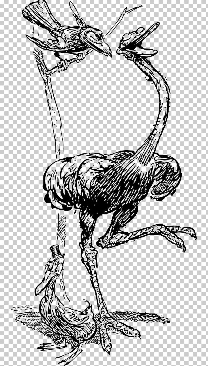 American Crow Bird Common Ostrich Raven PNG, Clipart, Animals, Art, Artwork, Beak, Bird Free PNG Download