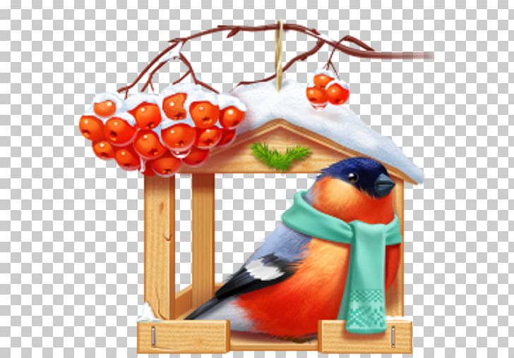 Bird Feeders Nest Box Bullfinch PNG, Clipart, Animals, Beak, Bird, Birdcage, Bird Feeders Free PNG Download