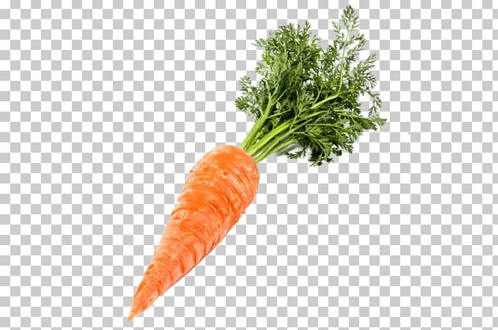 Carrot Portable Network Graphics Stock Photography Desktop PNG, Clipart, Baby Carrot, Carrot, Carrot Seed Oil, Desktop Wallpaper, Diet Food Free PNG Download