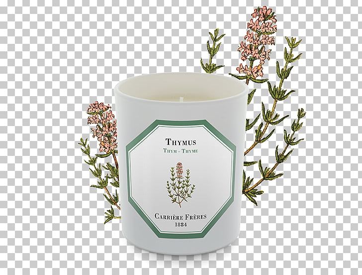 Tea Thyme Lamiaceae Herb Shrub PNG, Clipart, Byredo, Candle, Cup, Earl Grey Tea, Flowerpot Free PNG Download