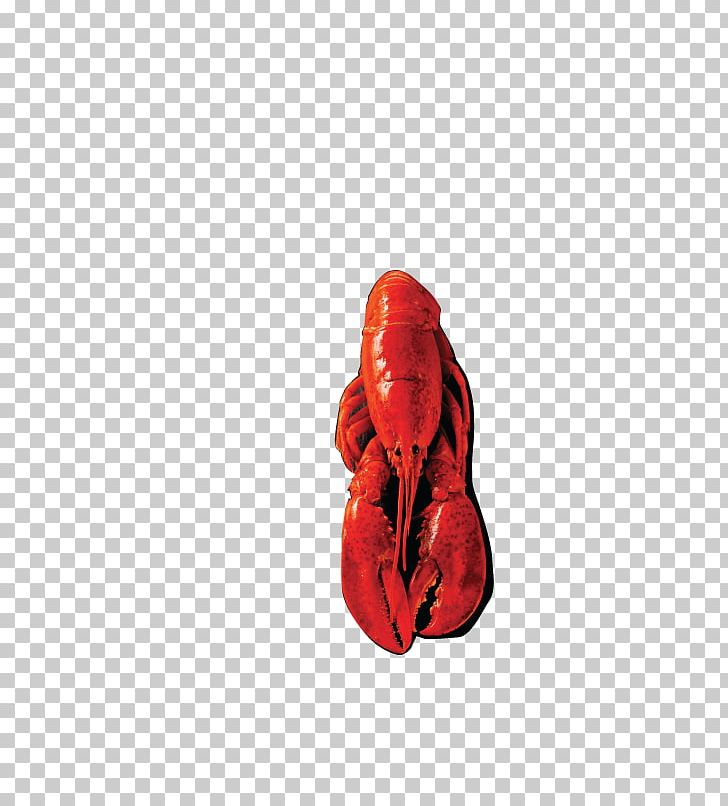 Red Shoe PNG, Clipart, Boxing Glove, Picture Of A Lobster, Red, Shoe Free PNG Download