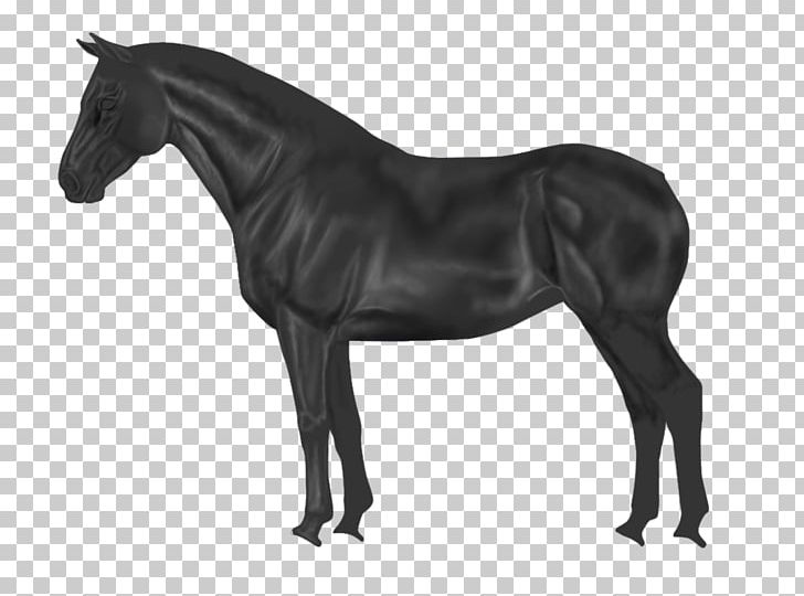 Shar Pei Appaloosa American Paint Horse Stock Photography Breed PNG, Clipart, American Paint Horse, Appaloosa, Black And White, Blame, Breed Free PNG Download