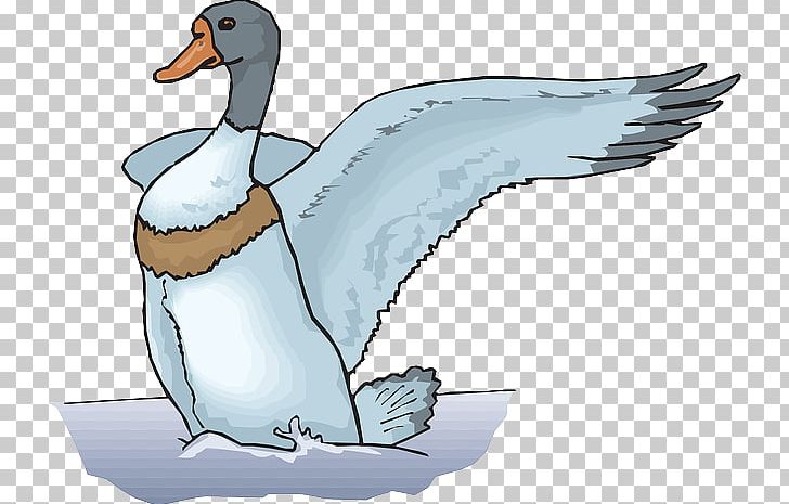 The Ugly Duckling Cygnini PNG, Clipart, Animals, Beak, Bird, Cisne, Duck Free PNG Download