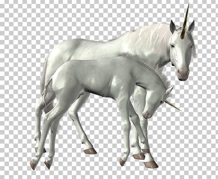 Unicorn PNG, Clipart, Unicorn Free PNG Download