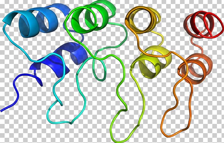 Body Jewellery Line PNG, Clipart, Art, Body Jewellery, Body Jewelry, Cdk, Cell Cycle Free PNG Download