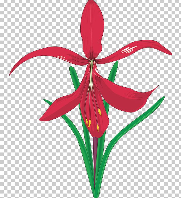 Drawing Photography PNG, Clipart, Art, Cut Flowers, Drawing, Flora, Flower Free PNG Download