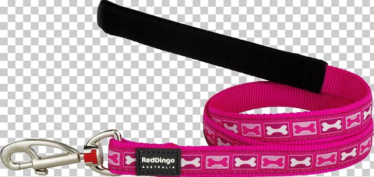 Leash Dog Collar Dingo PNG, Clipart, Animals, Blue, Bone, Collar, Dingo Free PNG Download