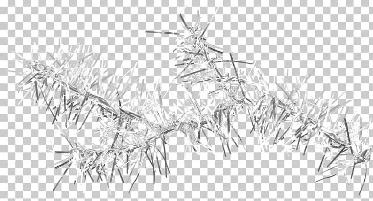 Twig Branch Leaf PNG, Clipart, Autumn Leaves, Banana Leaves, Black And White, Branches, Branches And Leaves Free PNG Download