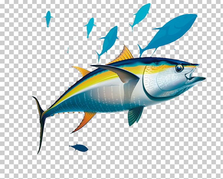 Yellowfin Tuna Albacore Illustration PNG, Clipart, Animals, Aquarium Fish, Bony Fish, Fauna, Jumping Fish Free PNG Download
