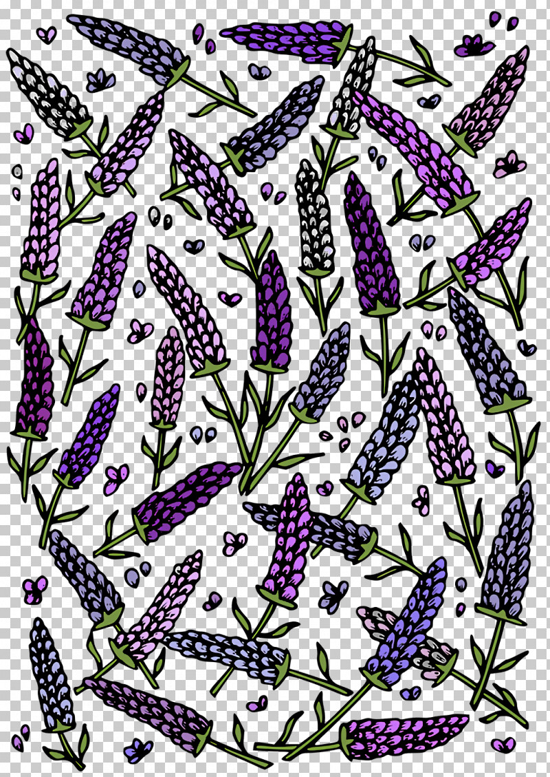 Lavender PNG, Clipart, Biology, Flora, Flower, Lavender, Plants Free PNG Download