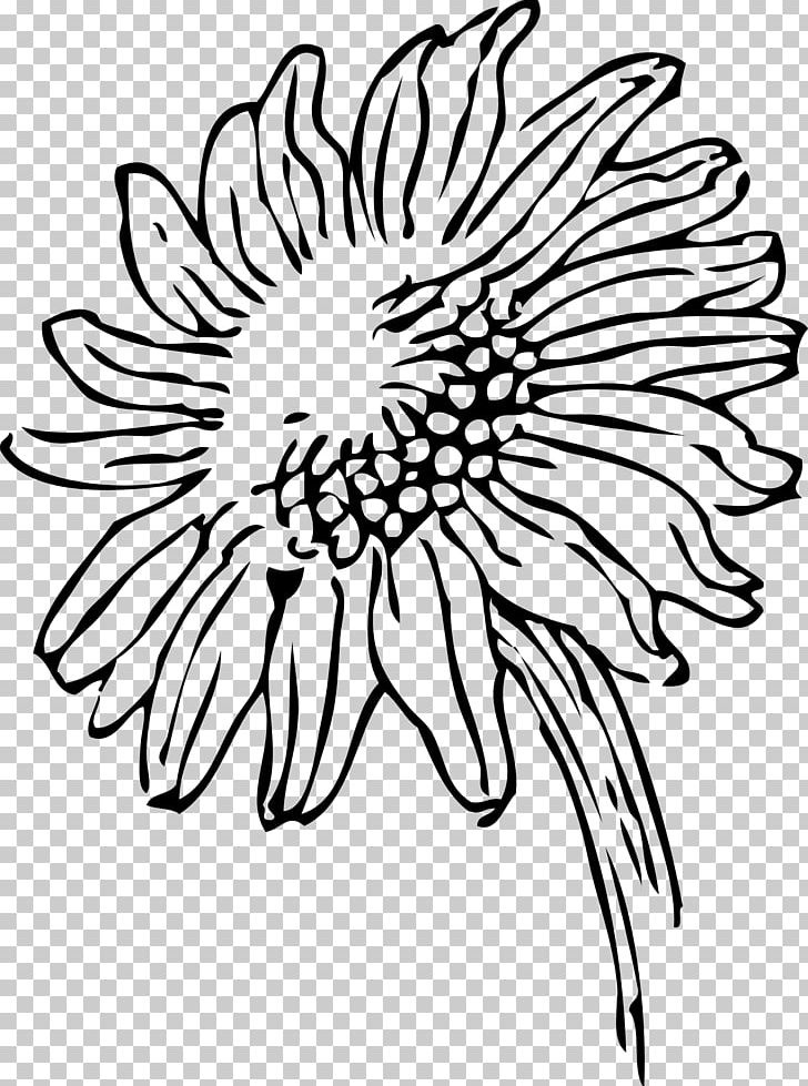Black And White Drawing PNG, Clipart, Artwork, Black, Black And White, Black And White Drawings, Chrysanths Free PNG Download
