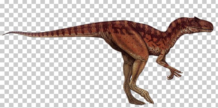 Tyrannosaurus Allosaurus Diplodocus Brachiosaurus Afrovenator PNG, Clipart, Afrovenator, Allosaurus, Animal Figure, Australovenator, Brachiosaurus Free PNG Download