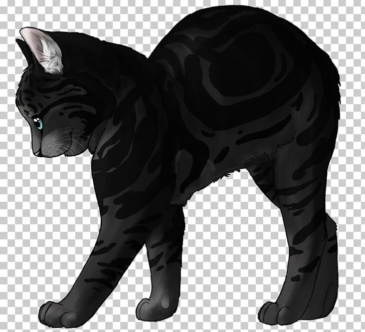 Whiskers Cat Drawing Dog Fur PNG, Clipart, Animals, Big Cat, Big Cats, Black, Black And White Free PNG Download