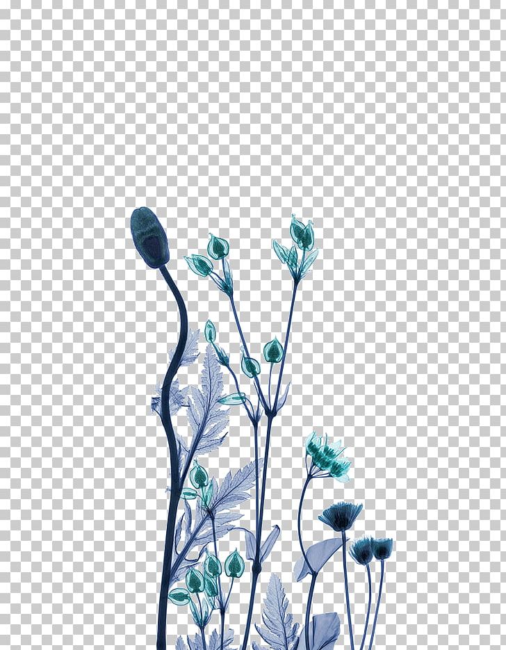X-ray Generator Work Of Art Artist PNG, Clipart, Art, Blue, Body Jewelry, Branch, Cut Flowers Free PNG Download