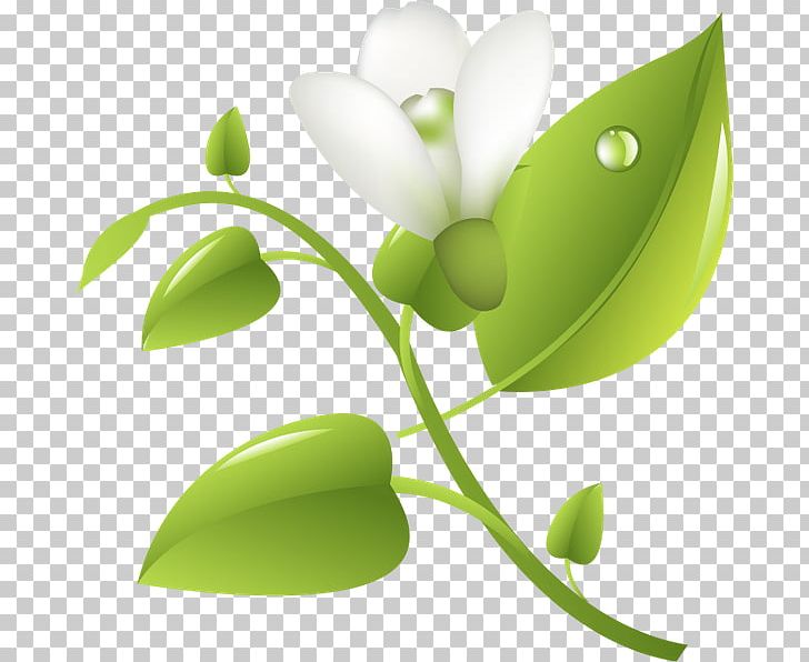 Leaf Desktop Plant Stem Graphics Product Design PNG, Clipart, Branch, Computer, Computer Wallpaper, Desktop Wallpaper, Flora Free PNG Download