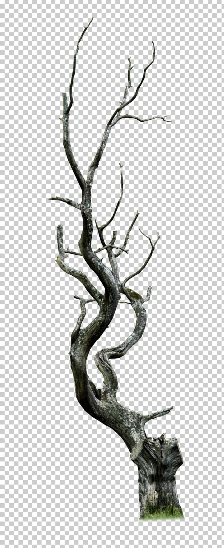 Tree Snag Branch PNG, Clipart, Antler, Bany De Bosc, Black And White, Branch, Clip Art Free PNG Download