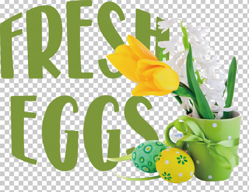 Fresh Eggs PNG, Clipart, Biology, Flower, Fresh Eggs, Fruit, Meter Free PNG Download