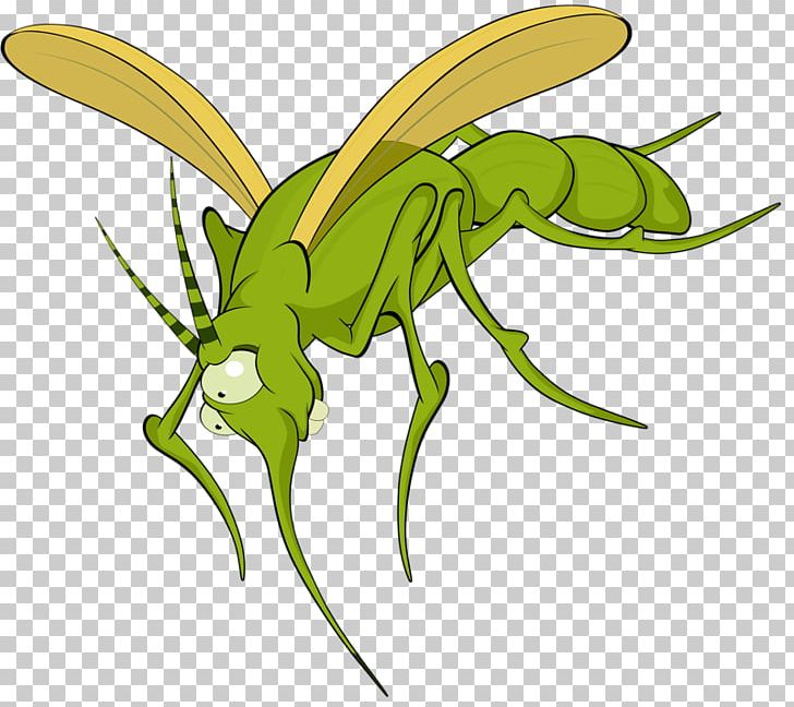 Mosquito Insect Illustration PNG, Clipart, Animals, Art, Boy Cartoon, Car, Cartoon Alien Free PNG Download