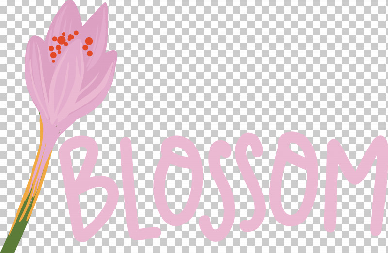 Logo Font Flower Petal Pink M PNG, Clipart, Flower, Logo, Meter, Petal, Pink M Free PNG Download