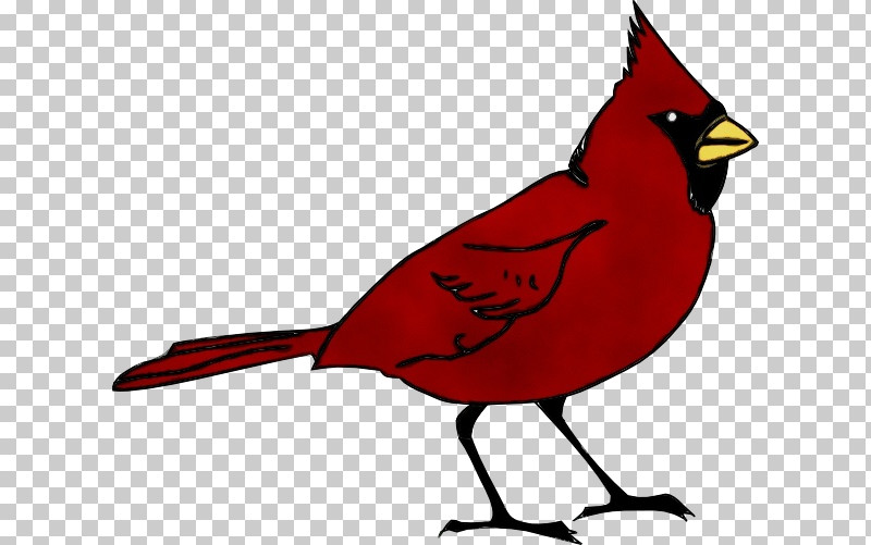 Northern Cardinal Cardinal Birds Summer Tanager Old World Sparrow PNG, Clipart, American Sparrows, Beak, Birds, Bluebirds, Cardinal Free PNG Download