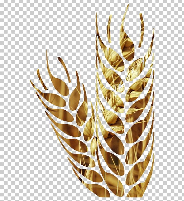Cereal Wheat Euclidean Agriculture PNG, Clipart, Agriculture, Background, Cartoon Wheat, Cereal, Commodity Free PNG Download