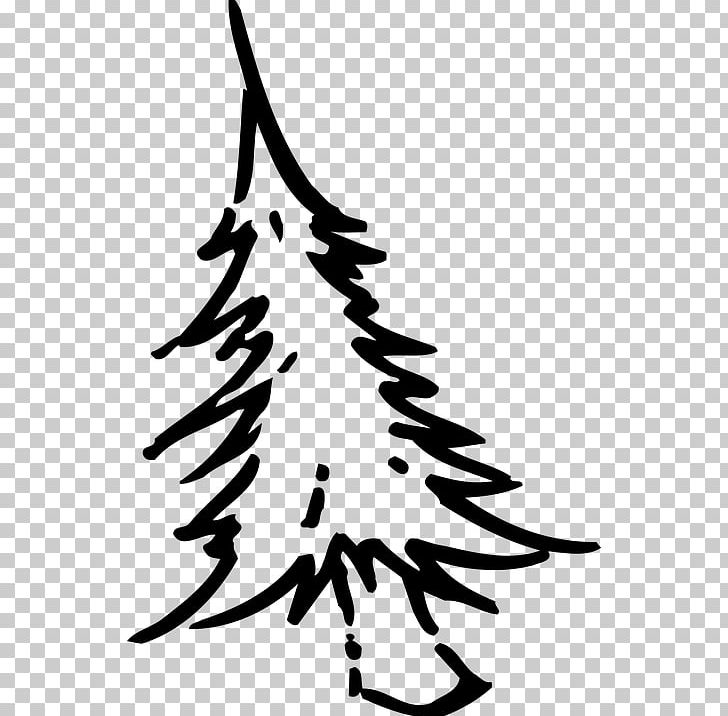 Drawing Christmas Tree PNG, Clipart, Art, Artwork, Beak, Bird, Black And White Free PNG Download