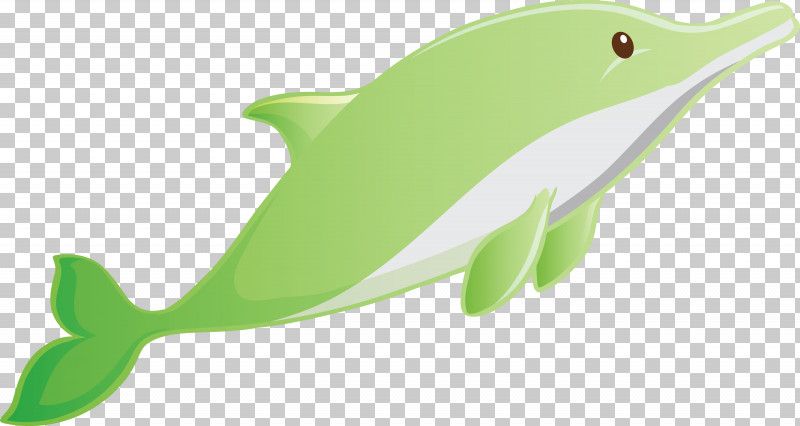 Green Animal Figure Cetacea Dolphin Fin PNG, Clipart, Animal Figure, Bottlenose Dolphin, Cetacea, Dolphin, Fin Free PNG Download