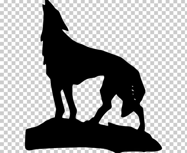 Gray Wolf Coyote Lion PNG, Clipart, Animal, Animals, Aullido, Black, Black And White Free PNG Download