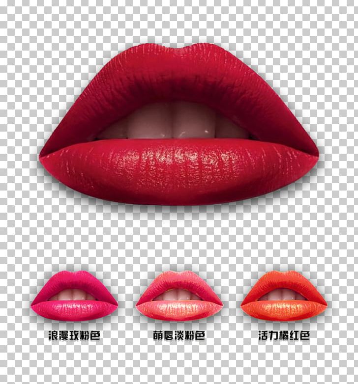 Lipstick Lip Gloss Euclidean PNG, Clipart, Beauty, Cartoon Lips, Computer Icons, Cosmetics, Euclidean Vector Free PNG Download