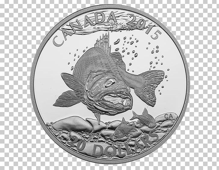 Silver Coin Canada Silver Coin Metal PNG, Clipart, Atlantic Salmon, Black And White, Canada, Coin, Coin Orientation Free PNG Download