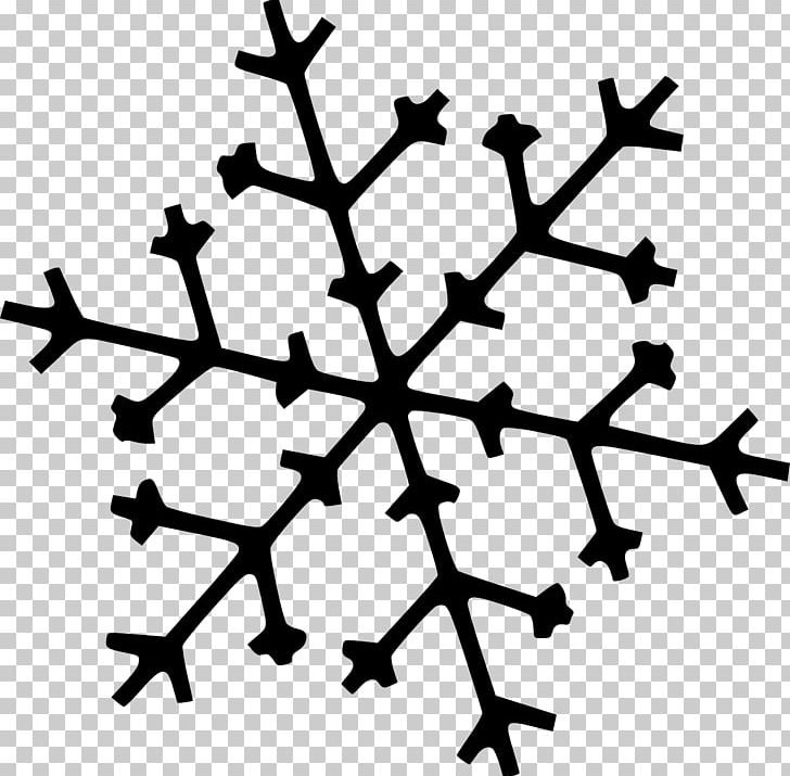 Snowflake Ice Crystals PNG, Clipart, Angle, Black And White, Christmas, Cloud, Crystal Free PNG Download