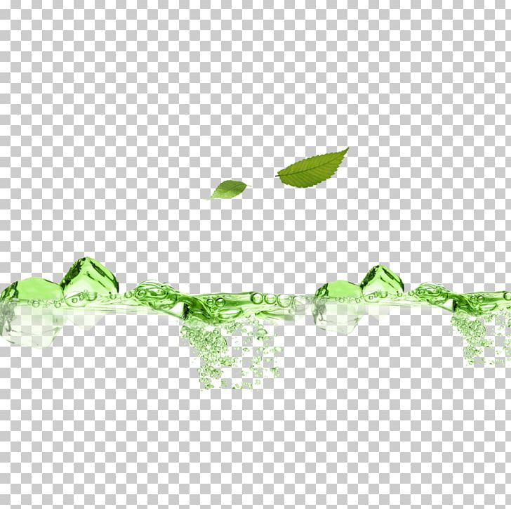 Green Modern Plant Decoration PNG, Clipart, Angle, Area, Border, Decoration, Design Free PNG Download