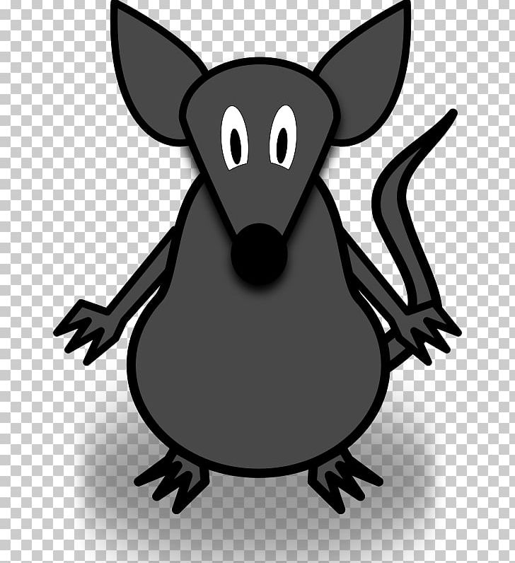 Mouse Rodent Cartoon PNG, Clipart, Animals, Black And White, Black Rat, Carnivoran, Cartoon Free PNG Download