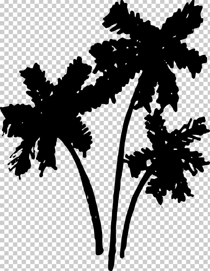 Tree Arecaceae Drawing PNG, Clipart, Arecaceae, Black And White, Branch, Coconut, Computer Icons Free PNG Download