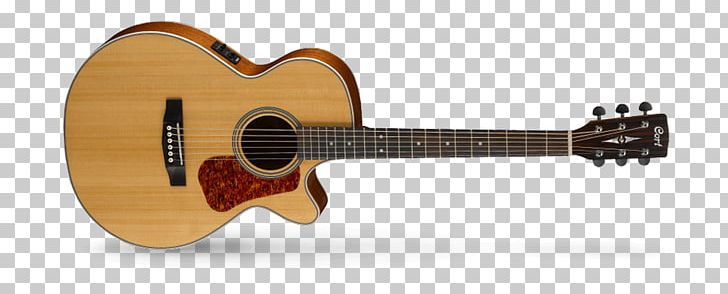 Acoustic-electric Guitar Takamine Guitars Acoustic Guitar Bass Guitar PNG, Clipart, Accordion, Cuatro, Guitar Accessory, Musical Instrument, Musical Instrument Accessory Free PNG Download