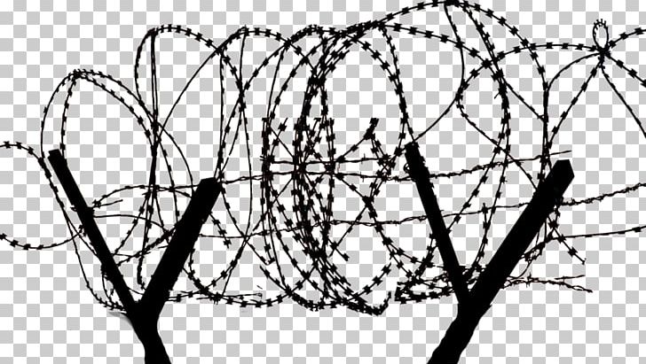 Barbed Wire Barbed Tape Concertina Wire PNG, Clipart, Area, Barbed Tape, Barbed Wire, Black And White, Branch Free PNG Download