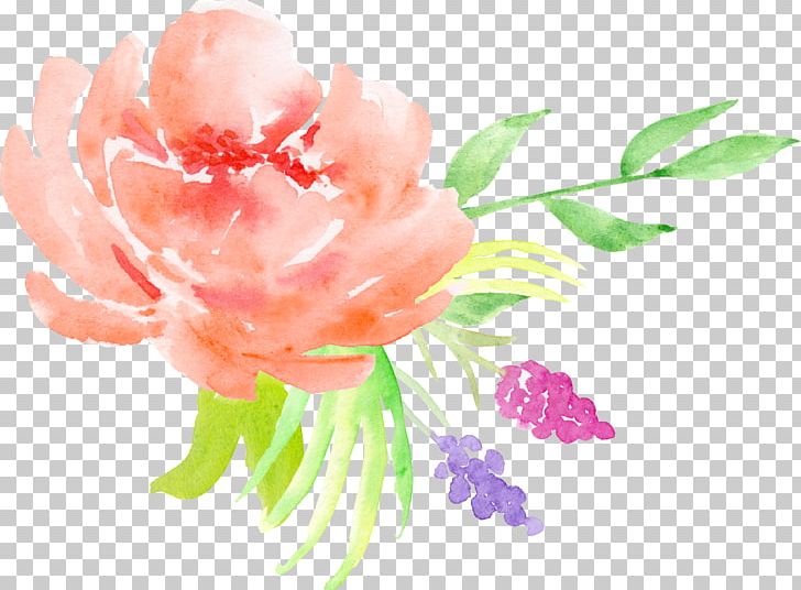 Centifolia Roses Watercolor Painting Flower Floral Design PNG, Clipart, Christmas Decoration, Color, Computer Wallpaper, Creative Design, Design Free PNG Download