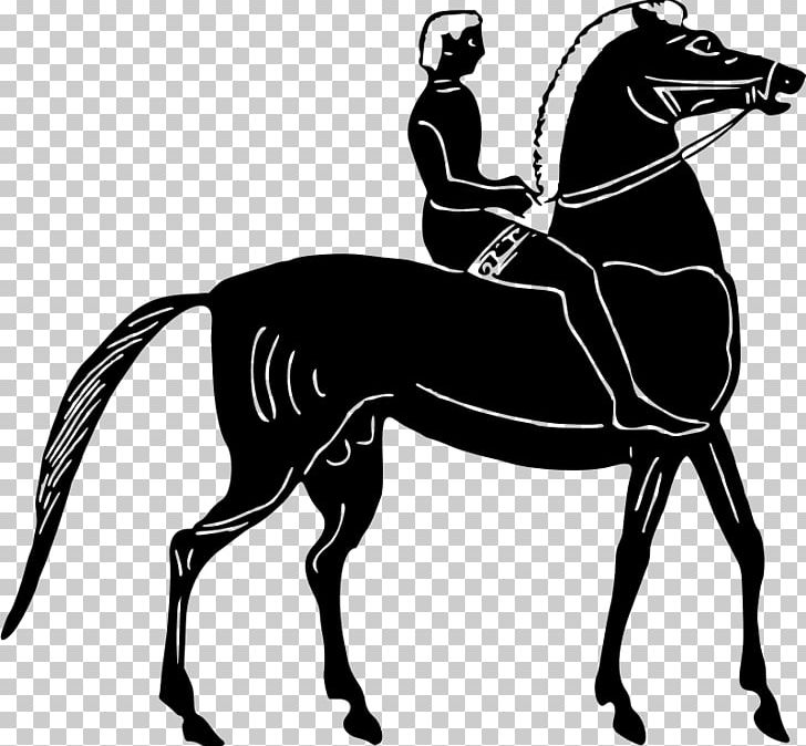 Horse Equestrian Pony PNG, Clipart, Animals, Black, Black And White, Bridle, Collection Free PNG Download