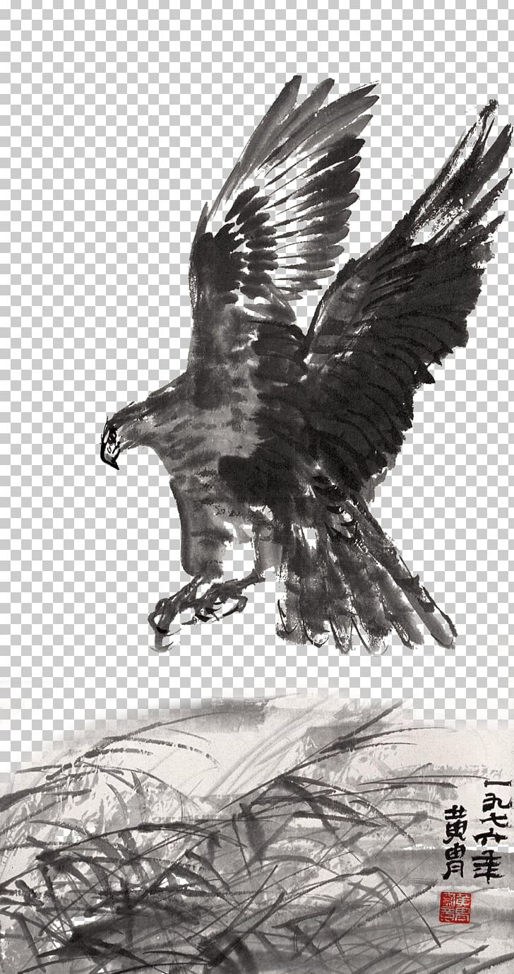 Ink Wash Painting Hawk Ink Brush PNG, Clipart, Bald Eagle, Beak, Bird, Bird Of Prey, Decorative Free PNG Download